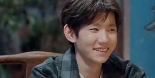 俊辰明星,闪耀舞台，魅力无限