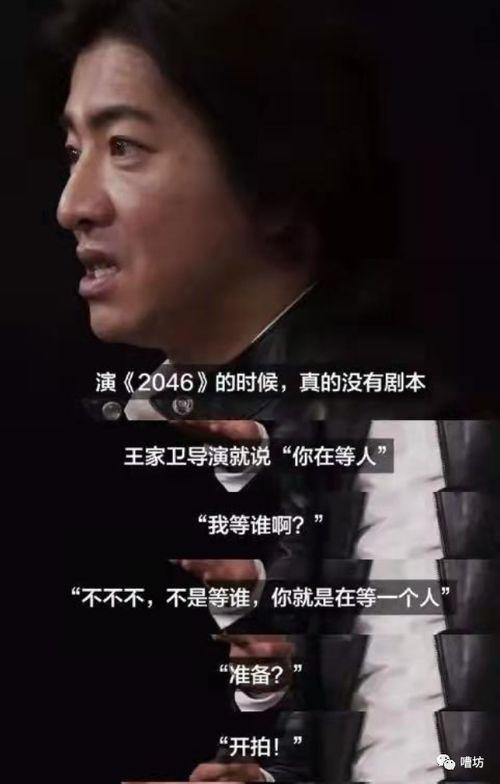 王家卫明星评价,光影交织下的璀璨星辰