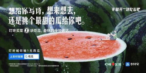 夜里吃瓜文案,揭秘深夜吃瓜的乐趣与秘密