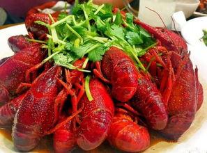 南通小龙虾网红,网红美食背后的传奇故事