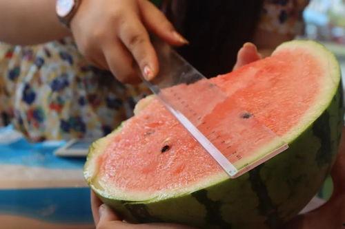 浦东新区吃瓜,吃瓜群众的味蕾盛宴