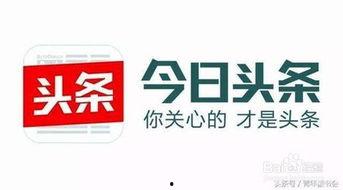 加入头条号的意义,揭秘加入头条号的五大核心优势