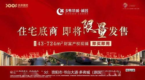 资阳新闻头条白沙,聚焦发展新篇章，共绘乡村振兴美好蓝图