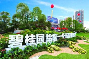 洪雅碧桂园爆料视频,品质与问题并存