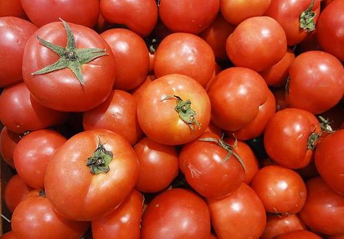 网红西红柿先生,网络红人的崛起与影响力