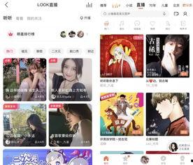 头条有直播的声音哪里关,头条直播静音操作指南