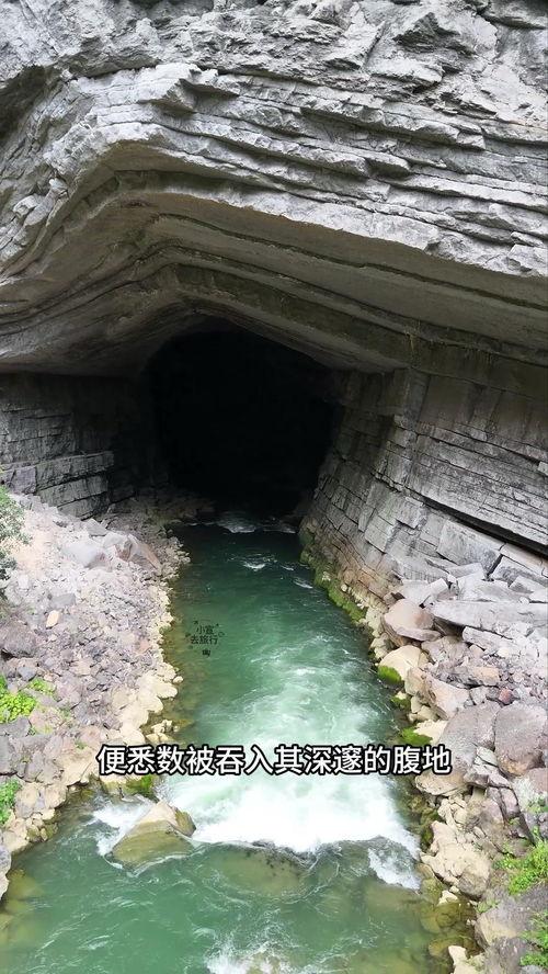 头条洞,新媒体时代的传播新趋势