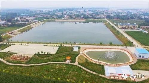 今日头条贾家口坑塘,探寻历史遗迹，感受自然魅力