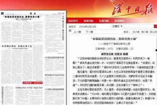 宁强南所新闻头条,聚焦最新动态，解码社会热点