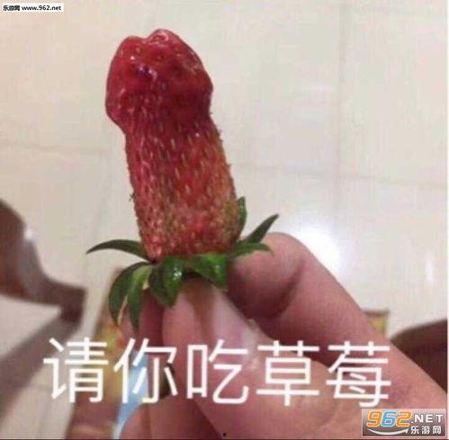 表情图吃瓜是什么意思,表情图“吃瓜”背后的网络文化现象解析